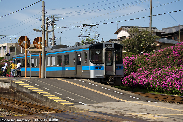 豊浜駅のツツジと列車