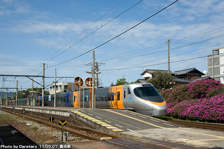 豊浜駅のツツジと列車